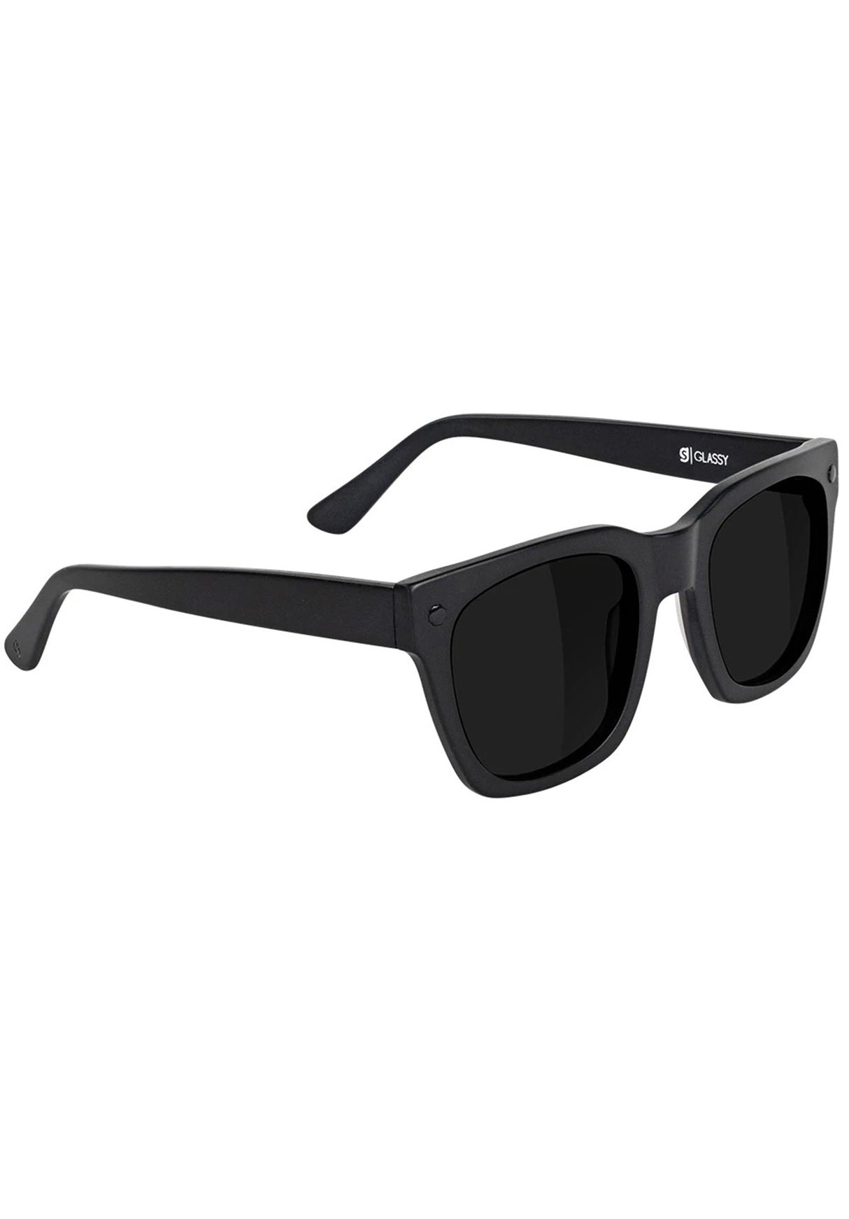 Walker Premium Polarized Plus matte-blackout Rückenansicht